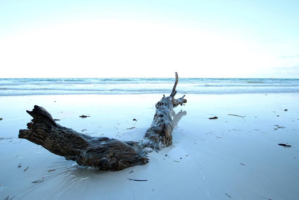 The Zubeida Boutique Resort Diani Beach Dış mekan fotoğraf